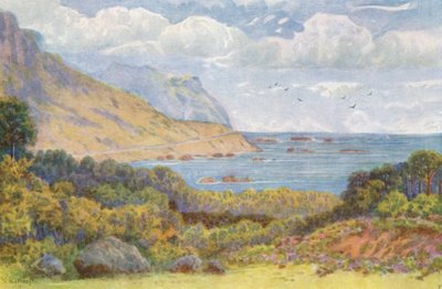 Sulla strada Victoria, vicino a Oude Kraal da Wilhelm Westhofen