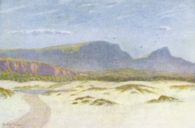 Dune di sabbia da Wilhelm Westhofen