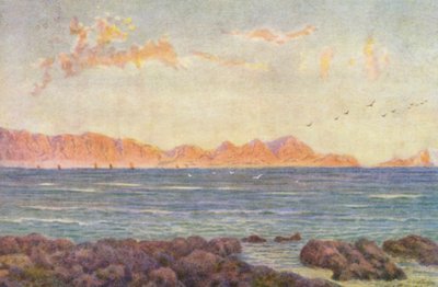 La parte meridionale di False Bay, con Cape Hangclip da Wilhelm Westhofen
