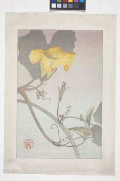 Studio di Fiori da Wilhelmina Seegmiller