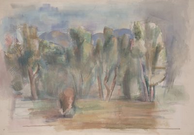Studio da Willard Nash