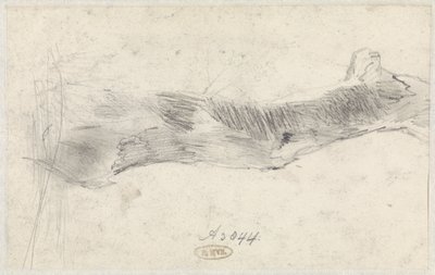 Studio di un albero da Willem Anthonie van Deventer
