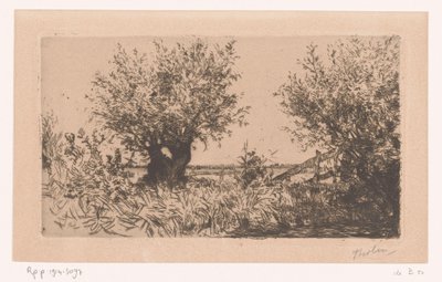 Paesaggio con prato, salici e recinzione da Willem Bastiaan Tholen (signed by artist)