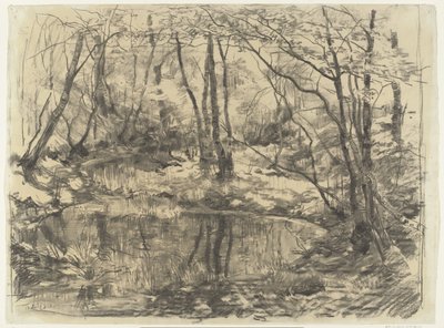 Lo stagno ricoperto di vegetazione a Ewijkshoeve da Willem Bastiaan Tholen