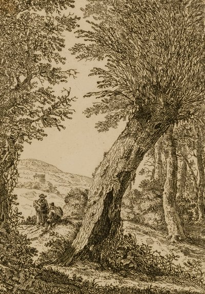 Paesaggio con salice da Willem Bemmel