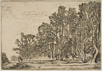 Paesaggio con recinzioni di assi e uomo che porta legna da Willem Buytewech