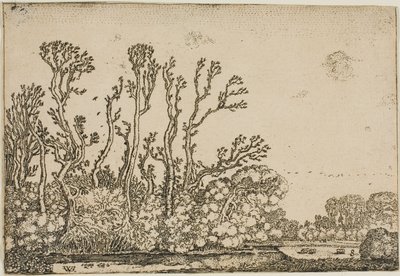 Paesaggio con alberi, stagno e pecore da Willem Buytewech