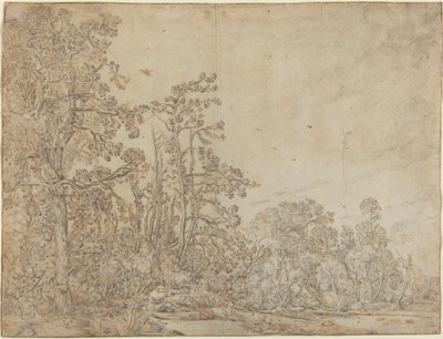 Stagno nel bosco con pescatore da Willem Buytewech
