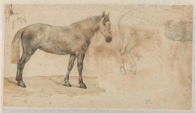 Studi di un cavallo da Willem Carel Nakken