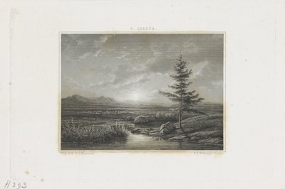 Paesaggio con un ruscello da Willem Frederik Wehmeyer