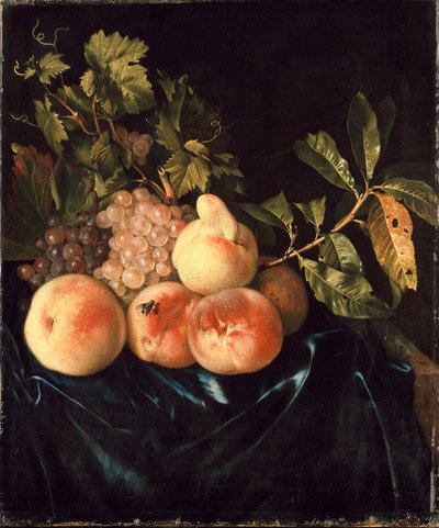 Natura morta di pesche e uva, 1705 da Willem Frederiksz van Royen