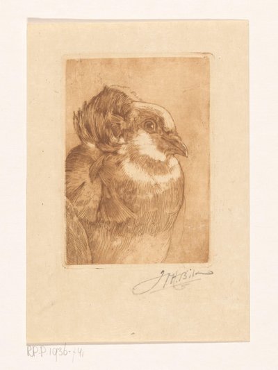 Studio di una colomba da Willem Hendrik Bik (signed by artist)