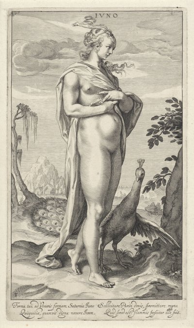 Giunone con pavone da Willem Isaacsz. van Swanenburg