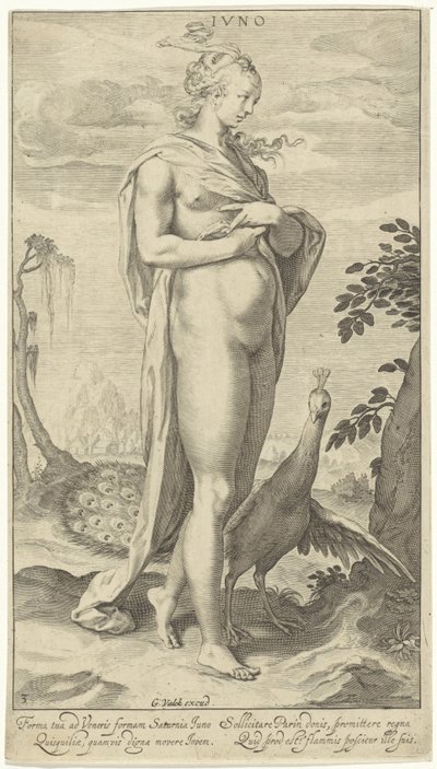 Giunone con pavone da Willem Isaacsz. van Swanenburg