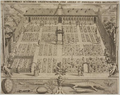 Il giardino botanico di Leida da Willem Isaaksz Swanenburgh