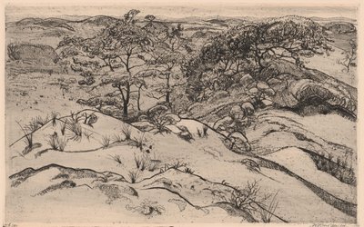 Paesaggio di dune da Willem Jansen (graveur) (signed by artist)