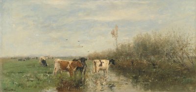 Mucche in un prato fangoso da Willem Maris