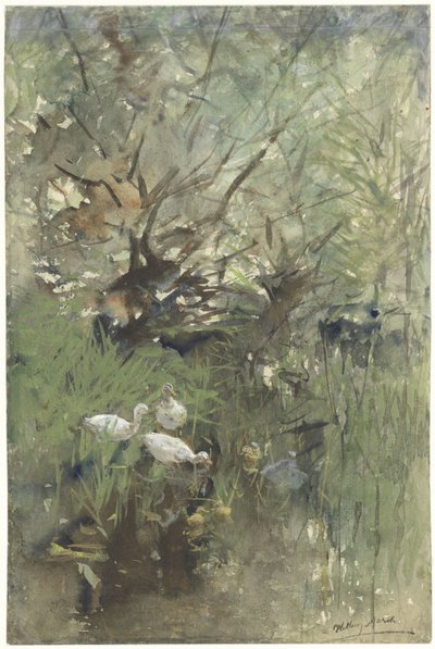 Anatre sotto i salici da Willem Maris