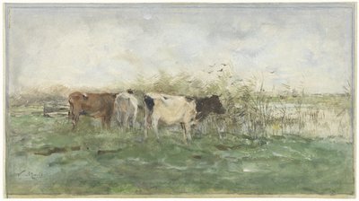 Mucche vicino a uno stagno da Willem Maris