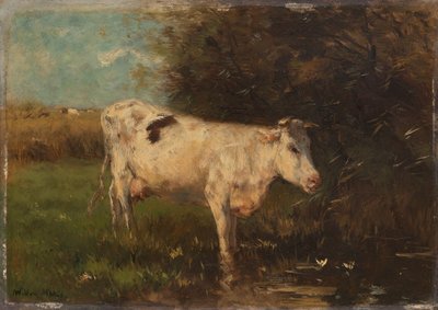Mucca Bianca da Willem Maris