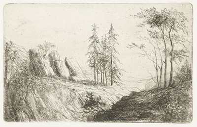 Paesaggio montano con alberi da Willem Matthias Jan van Dielen