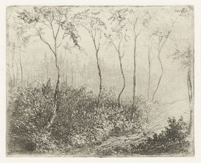 Paesaggio boschivo da Willem Matthias Jan van Dielen