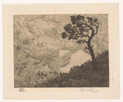 Albero in un paesaggio collinare da Willem Nolthenius (signed by artist)