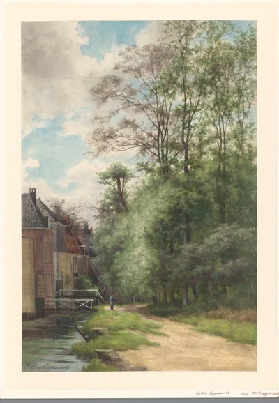 Veduta lungo il canale presso Bezuidenhout nella foresta dell