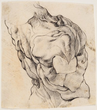 Studio anatomico (écorché). Torso di un uomo scuoiato visto da dietro mezzo girato a destra da Willem Panneels