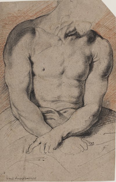 Cristo coronato di spine. Il torso di Cristo. Dopo Van Dyck da Willem Panneels