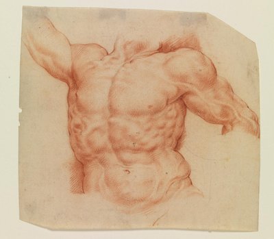 Vista frontale del torso di Laocoonte da Willem Panneels