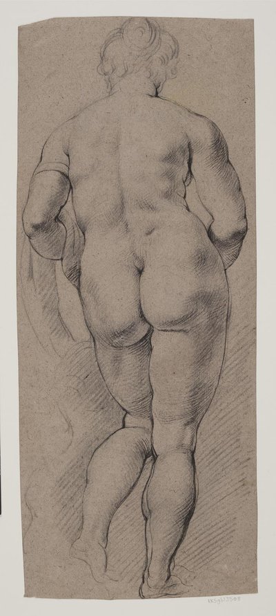 Nudo femminile in piedi visto di spalle da Willem Panneels