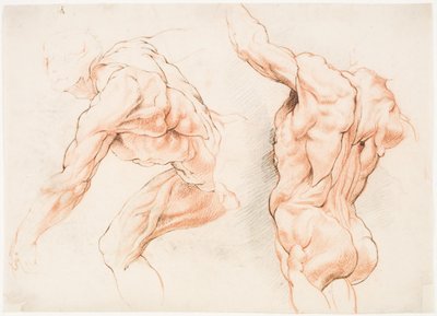 Due studi anatomici di un uomo che si appoggia a sinistra e un altro visto da dietro con il braccio alzato (écorché) da Willem Panneels