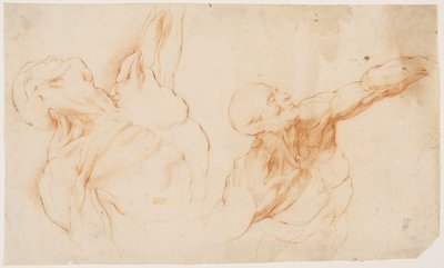 Due studi anatomici (écorchés). Torso scorticato di un uomo, il braccio sinistro alzato da Willem Panneels