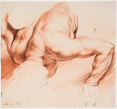 Lottatori. Gruppo scultoreo antico. Figura inferiore da Willem Panneels