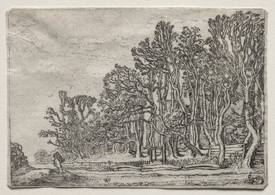 Il set dei paesaggi: Due siepi di tavole da Willem Pietersz Buytewech