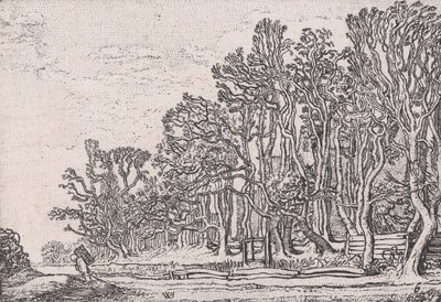 Due siepi di assi, da Verscheyden Landtschapjes Various Little Landscapes, Plate 6..., ca. 1616 da Willem Pietersz. Buytewech