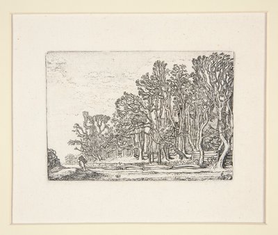 Due siepi di tavole, Tavola 6 da Il set dei paesaggi da Willem Pietersz. Buytewech