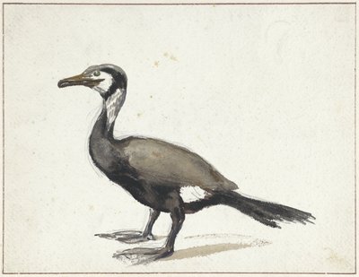 Cormorano da Willem Roelofs (I)