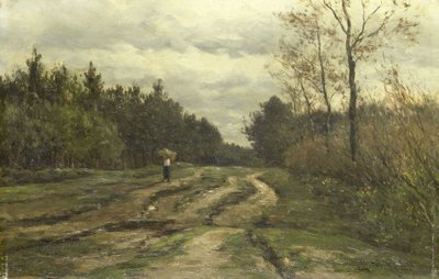 Strada di campagna vicino a Laren (Provincia dell