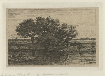 Pescatore vicino ai salici da Willem Roelofs (I)
