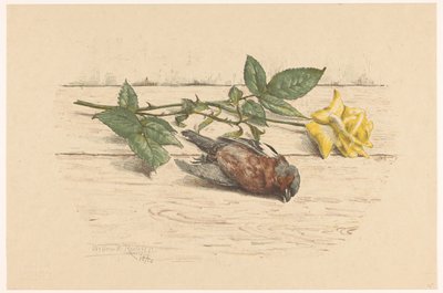 Fringuello morto accanto a una rosa da Willem Roelofs (II) (signed by artist)