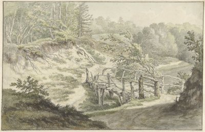 Paesaggio dunale con ponte di legno da Willem Uppink