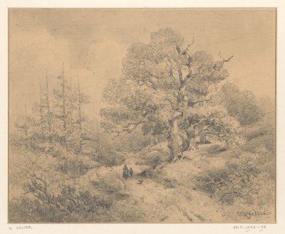 Paesaggio con alberi, due figure e un cane da Willem Valter Pzn