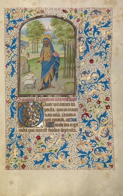Johannes der Täufer da Willem Vrelant