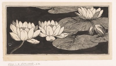 Ninfee da Ludwig Willem Reymert Wenckebach