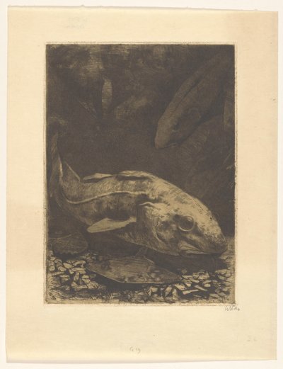 Pesci e piante acquatiche da Willem Witsen (signed by artist)