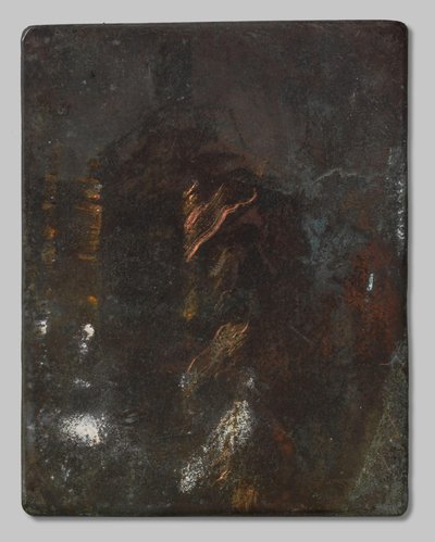 Ragazzo contadino da Willem Arnoldus Witsen