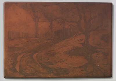 Sentiero tra le dune da Willem Arnoldus Witsen