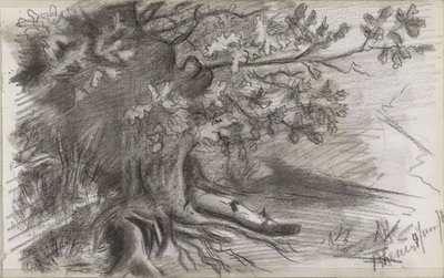 Paesaggio con un grande albero a Rhenen da Willem Arnoldus Witsen
